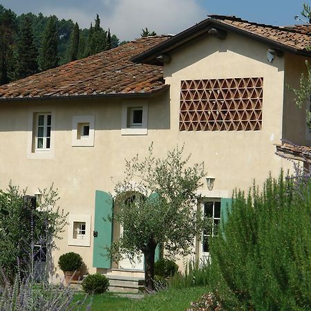 Agriturismo Mareli Villa Camaiore Kültér fotó