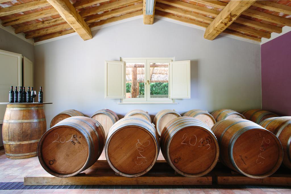 Agriturismo Mareli Villa Camaiore Kültér fotó