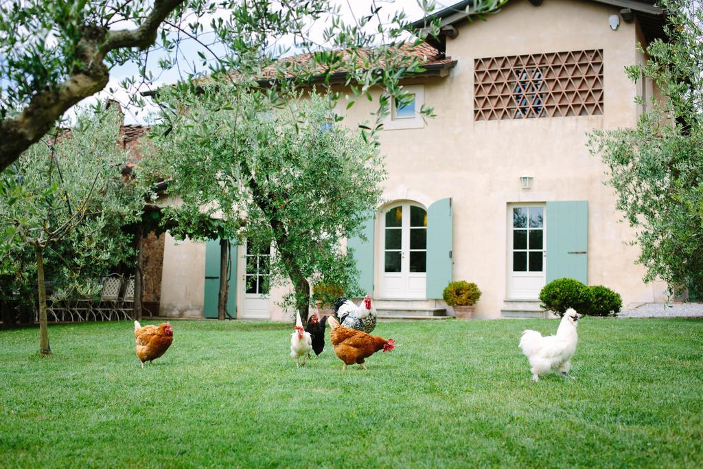 Agriturismo Mareli Villa Camaiore Kültér fotó